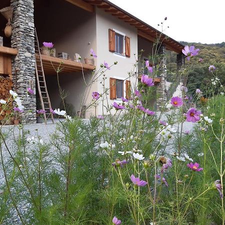 Semi Al Vento: La Bio-Casa Nel Giardino Incantato! Apartment Paesana ภายนอก รูปภาพ