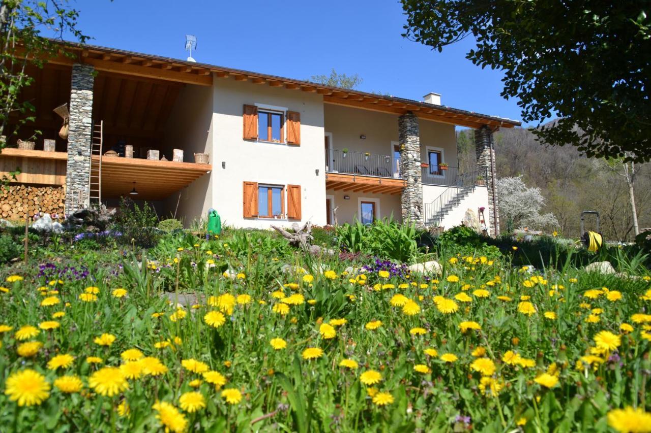 Semi Al Vento: La Bio-Casa Nel Giardino Incantato! Apartment Paesana ภายนอก รูปภาพ