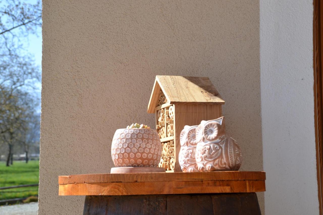 Semi Al Vento: La Bio-Casa Nel Giardino Incantato! Apartment Paesana ภายนอก รูปภาพ