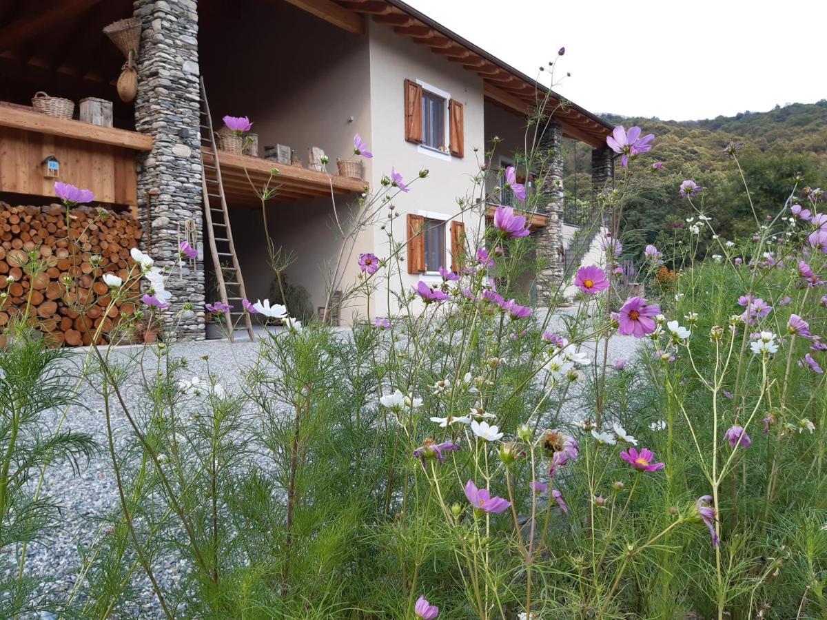 Semi Al Vento: La Bio-Casa Nel Giardino Incantato! Apartment Paesana ภายนอก รูปภาพ